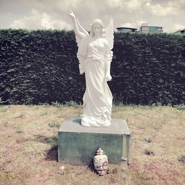Begraafplaats St. Barbara, Den Haag, juni 2019
