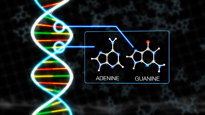 meteorite_DNA