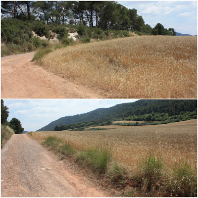 GR-7 LA RIBA A CABRA DEL CAMP, Camí de Cabra dins del terme municipal de Cabra del Camp