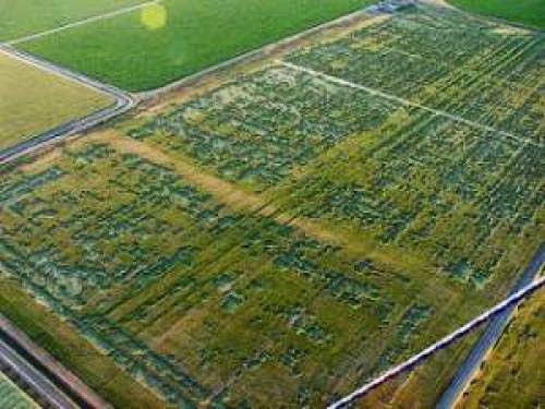 Gigantesco E Raro Crop Circle Aparece Na Rssia