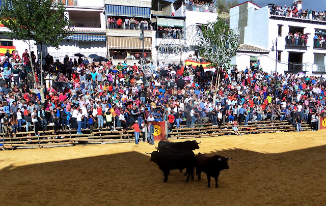 Lugros.Toros de la Peza