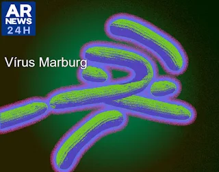 vírus Marburg