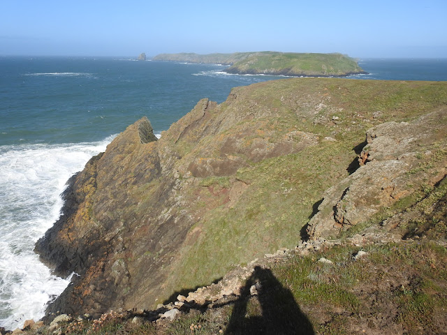 The West Wales Region: Ceredigion, Pembrokeshire and Carmarthenshire