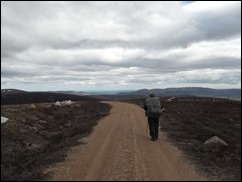 SDC10069