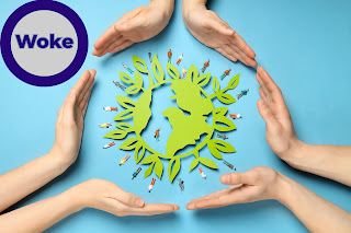 wokeness and corporate social responsibility