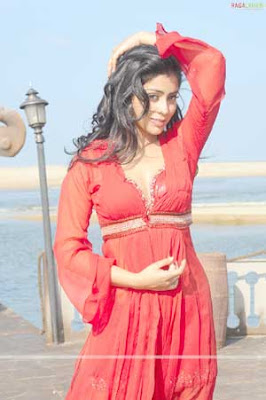 Shriya Saran Photoshoot Pictures