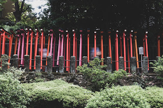 根津神社の千本鳥居