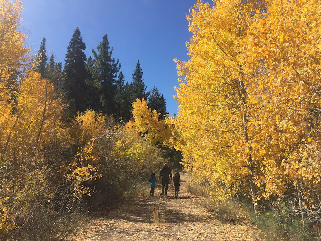 Lake-Tahoe-Aspen-Trees-Fall-Family-Exploring-Road-Trip