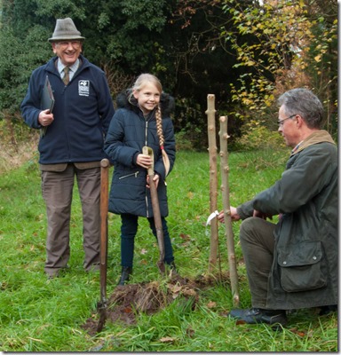 Planting the lime