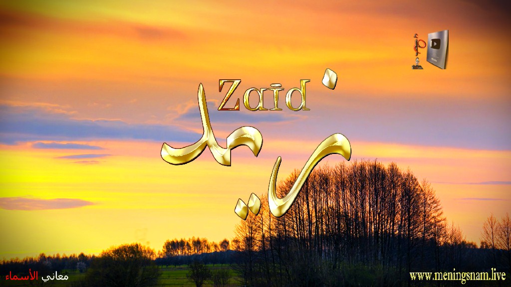 معنى اسم, زيد, وصفات, حامل, هذا الاسم, Zaid,