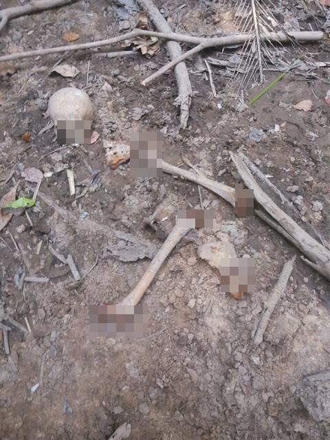 Corpo em decomposição é encontrado no povoado Cana Brava