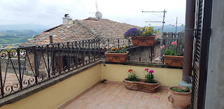 Our upper terrace