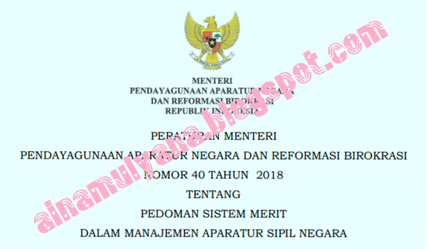  Tentang Pedoman Sistem Merit dalam Manajemen Aparatur Sipil Negara  PERMENPAN RB NOMOR 40 TAHUN 2018 TENTANG PEDOMAN SISTEM MERIT DALAM MANAJEMEN APARATUR SIPIL NEGARA