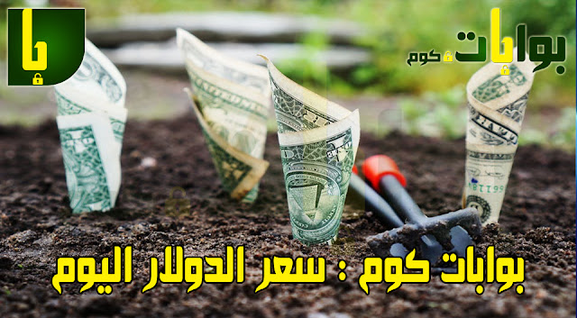 عودة صعود سعر الدولار اليوم ووكالة تصنيف ائتماني تتوقع قفزة جديدة 