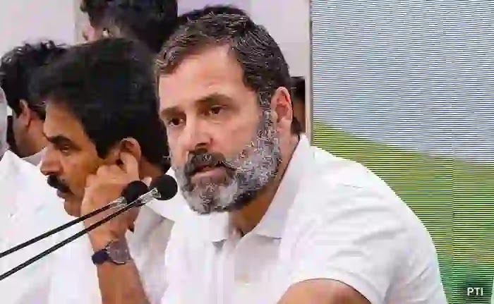 'Thank You, Rahul Gandhi': Ministers Slam Congress Over Germany Statement, New Delhi, News, Politics, Rahul Gandhi, Controversy, BJP, National.