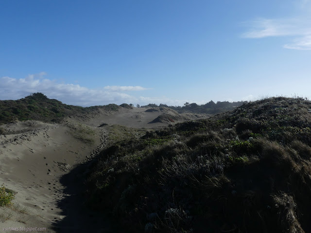 along the trail across low dunes, to sandy ramp, to high hills growing of trees