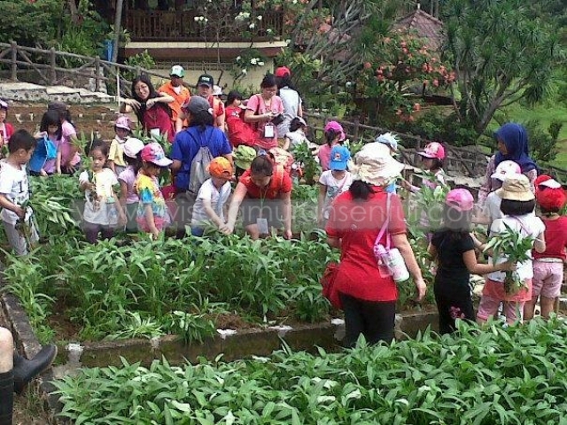 Paket Wisata Agro Edukasi Sentul