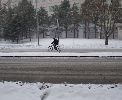 winter storm bicyclist