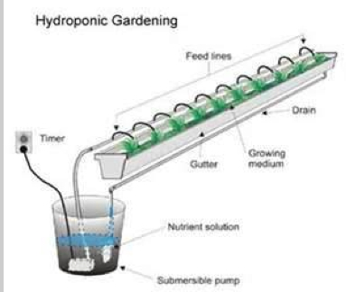 Better Farm: Hydroponics: Reservoir method