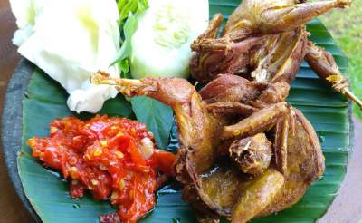 Resep Burung Puyuh Goreng Masak Ungkep Spesial - County Food