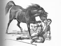 Bizarro 2 0 Deadly Equines The Shocking True Story Of