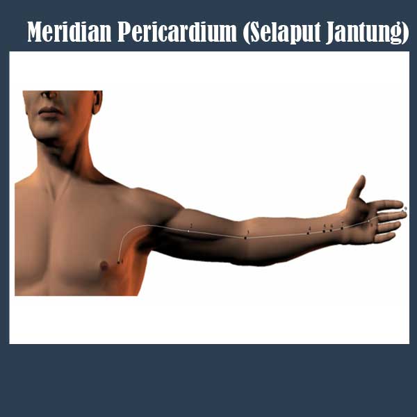 Pericardium Meridian, Manfaat Meridian Selaput Jantung, Manfaat Meridian Pericardium, Titik Meridian Selaput Jantung, Titik Meridian Pericardium