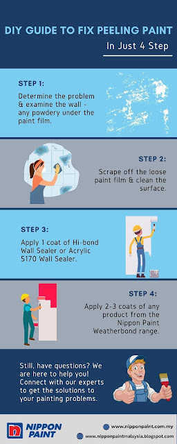 Guide to Fix Peeling Paint On Walls