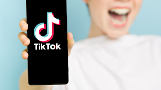 In Which Countries Is TikTok Banned?