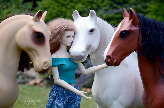 Raccoon Doll Daisy and Our Generation Battat Horses