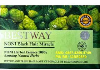 Rambut Hitam Shampoo Herbal Noni Bestway