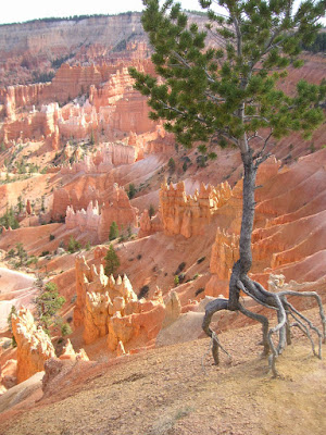 Photo of Bryce Canyon National Park by Roland Lee