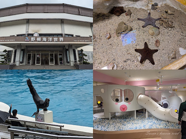 野柳海洋世界 | 門票交通指南，水族館及跳水表演、萌萌海獅、海豚，童樂趴親子館嗨翻天