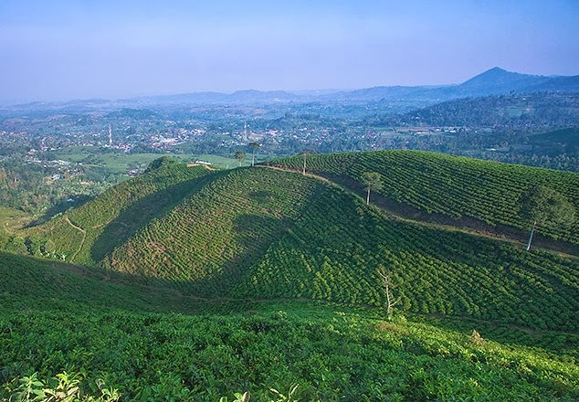 Gambar Sensasi Wisata Bali Candi Cetho Karanganyar Jawa Gambar Sensasi Wisata Bali Candi Cetho Karanganyar Jawa