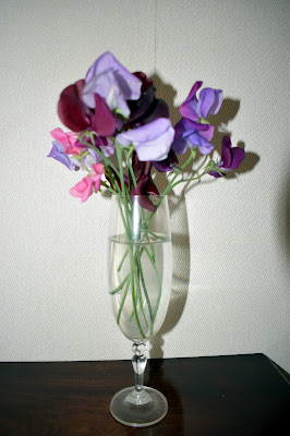 sweet pea flowers in a glass vase