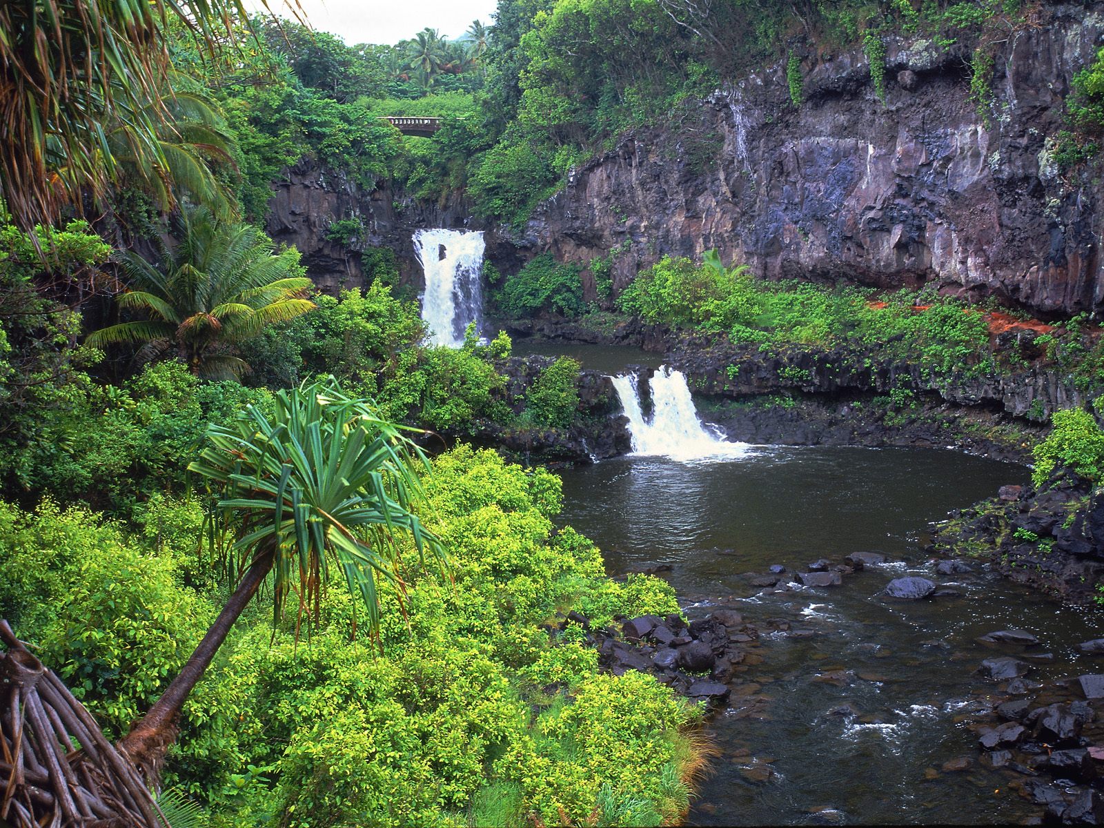 This is on the island of Kauai: