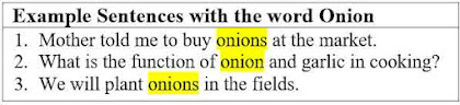 27 Example Sentences with the word "Onion" and Its Definition