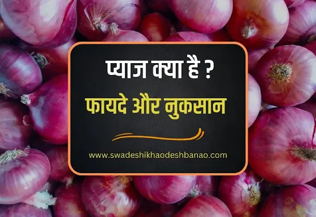 about onion in hindi pyaj