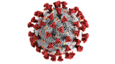 Corona Virus ( Covid- 19), Paragraph, Article, Composition, Report