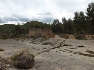 Tines de Les Solanes