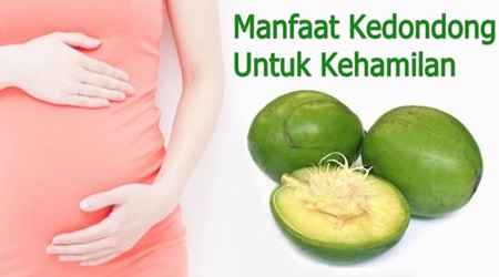 Ketahui Manfaat Buah Kedondong Untuk Kehamilan