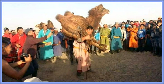 Mongolian Punishment For Animal Cruelty