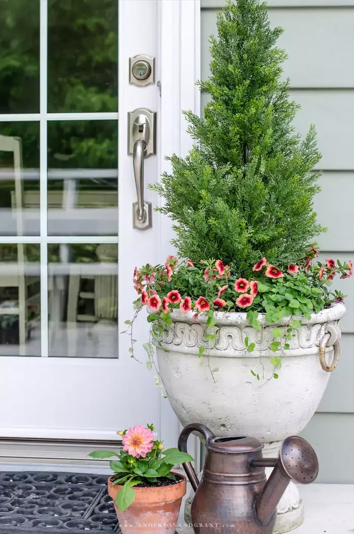 Planter with arborvitae and flowers
