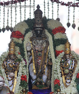 Ananda Vahanam,Day 06,Brahmotsavam, Thiruvallikeni, Sri PArthasarathy Perumal, Temple, 2017, Video, Divya Prabhandam,Utsavam,