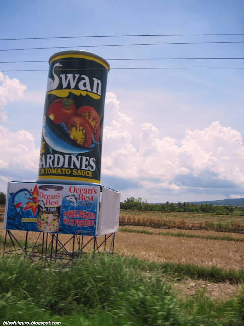 Mt Isarog Consocep Camarines Sur