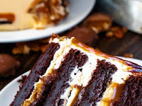  Turtle Chocolate Layer Cake 