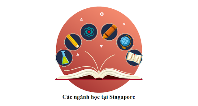 Các ngành học tại Singapore
