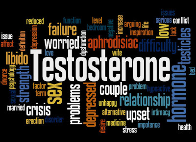 Testosteron Booster wirkung