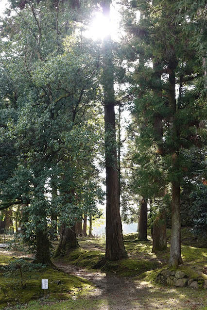 島根県松江市内中殿町 松江城 城山公園