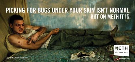 Meth bugs