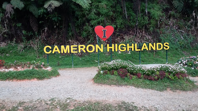 Cameron Highlands